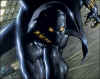 Bpanther-new.jpg (39884 bytes)