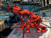 Spiderman23c.jpg (193772 bytes)